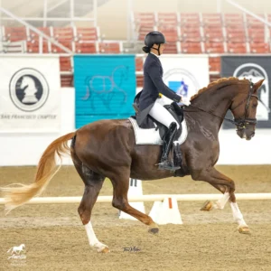 Amelia Newcomb executes an extended canter with dressage precision on a chestnut horse with a braided mane in the arena.