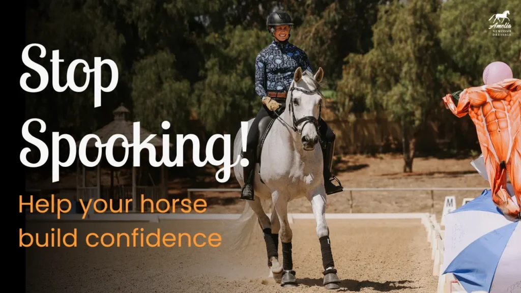Amelia Newcomb in professional dressage attire riding a grey horse through an arena past a jump obstacle to school for confidence.