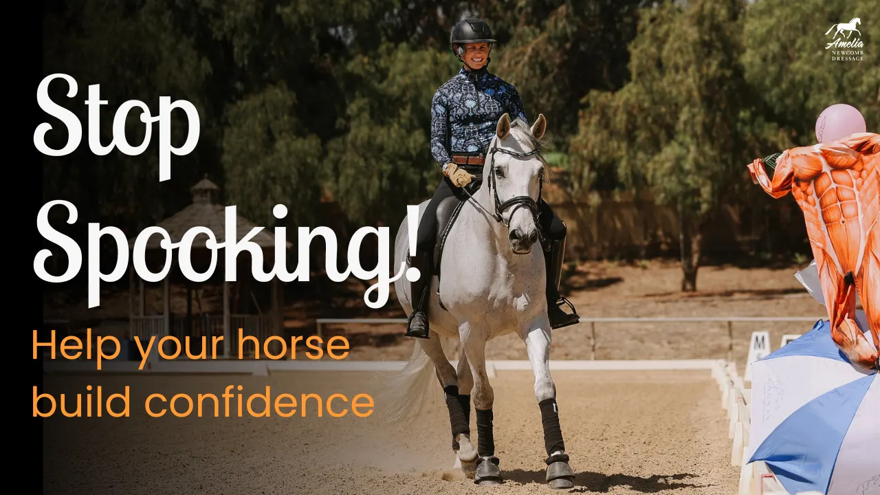Amelia Newcomb in professional dressage attire riding a grey horse through an arena past a jump obstacle to school for confidence.