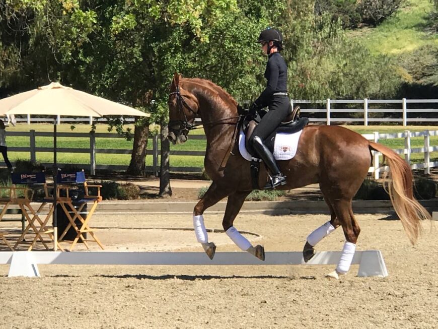 Flying change Amelia Dressage