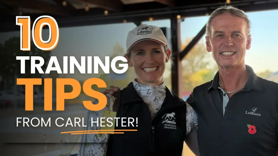 10 tips carl hester A