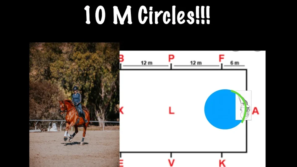 10m canter circles