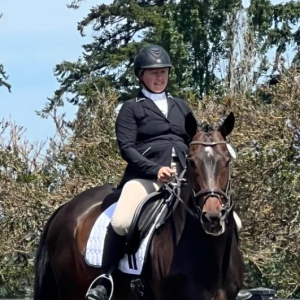 A person wearing a black helmet, black jacket, and beige riding pants is riding a dark brown horse with a white saddle pad during the Groundwork Webinar. Trees and blue sky are visible in the background.
