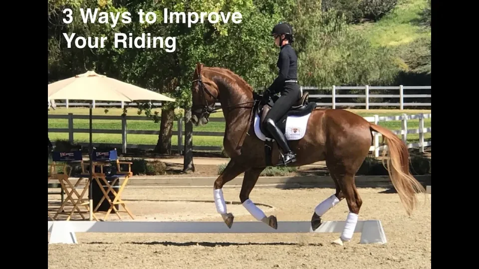 3 Things You Can do to Improve Your Riding