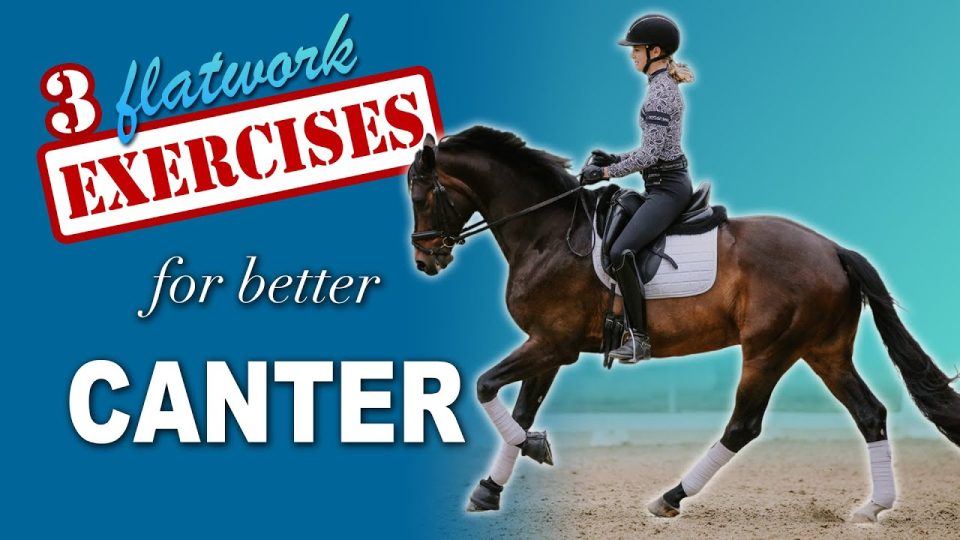 3 flatwork exercises for better canter