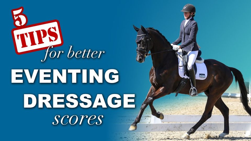 5 tips for better eventing dressage scores