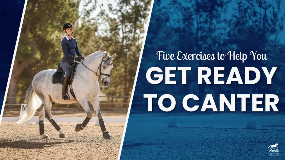 5canterexercises A