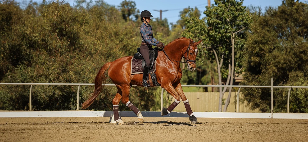 Amelia-Horse-Scale-9