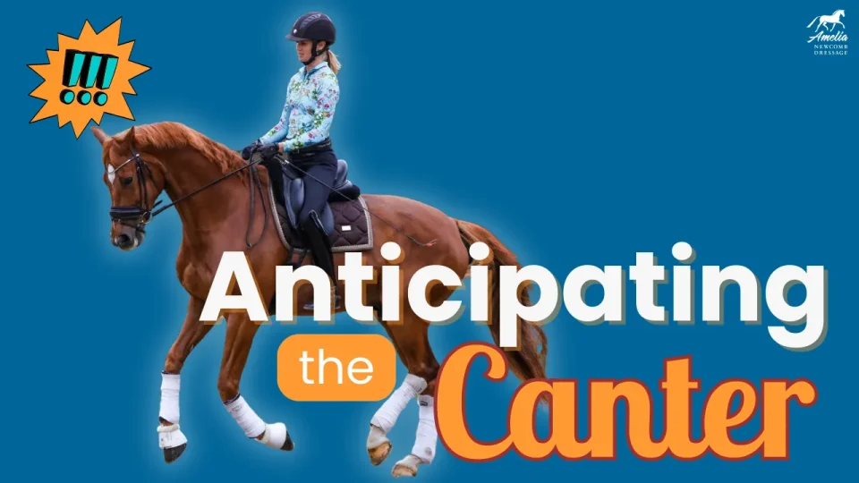 Anticipating Canter A (1)