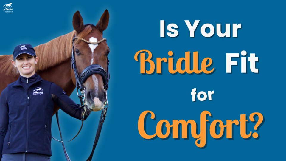 Bridle Fit A