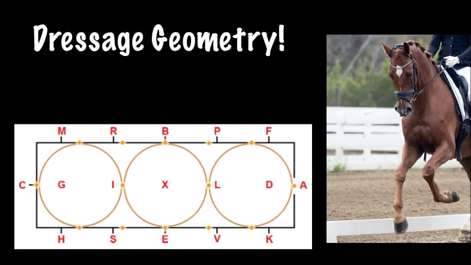 Dressage geometry
