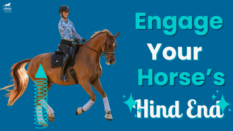 Amelia Newcomb riding a chestnut horse with a spring depicting the engagement of the horse's hind end. Engage your horse's hind end.