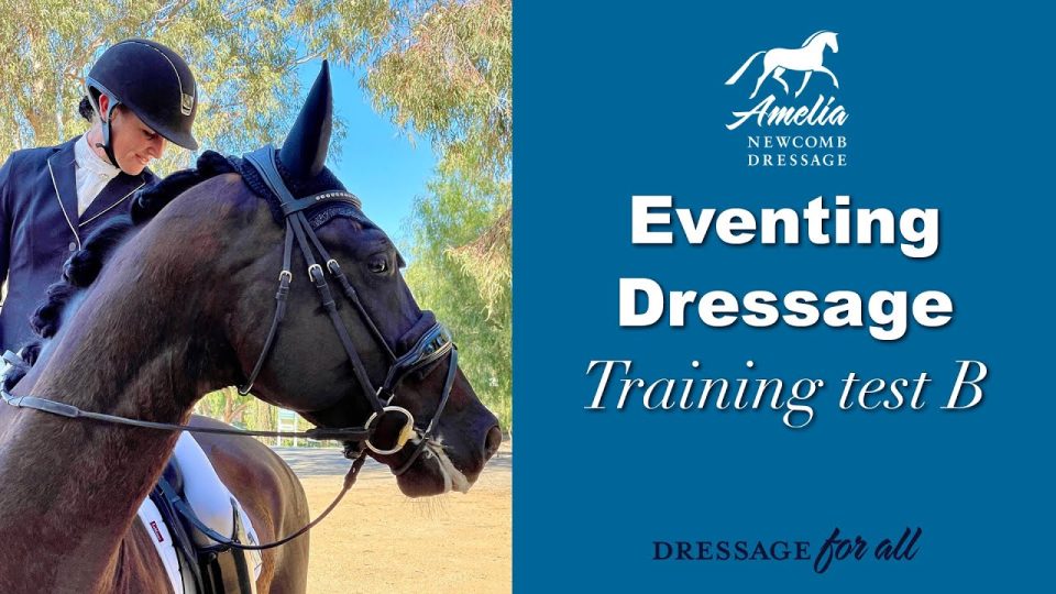 Eventing Dressage training test B