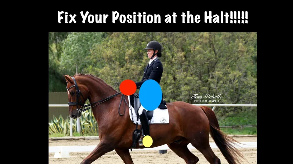 fix your position at the halt