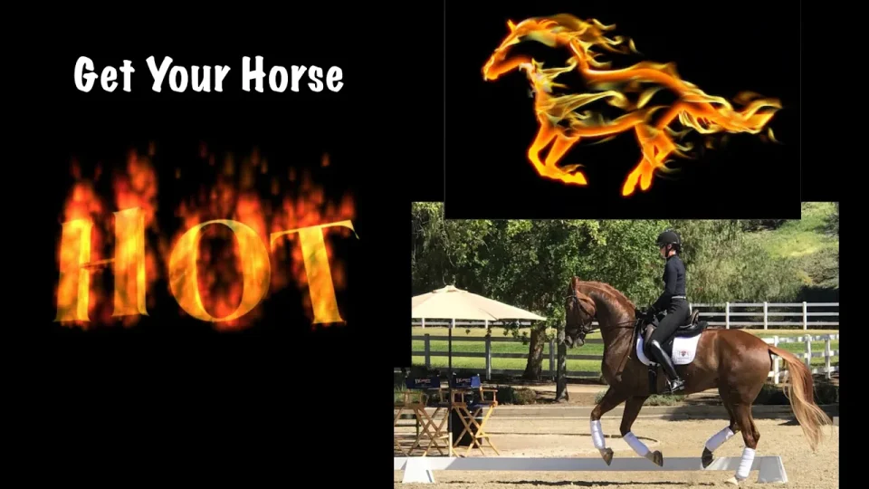 get your horse hot