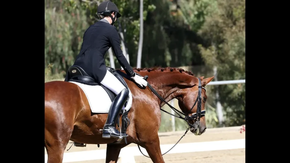 How to Analyze the Judges Comments and Ride the Prix St. George