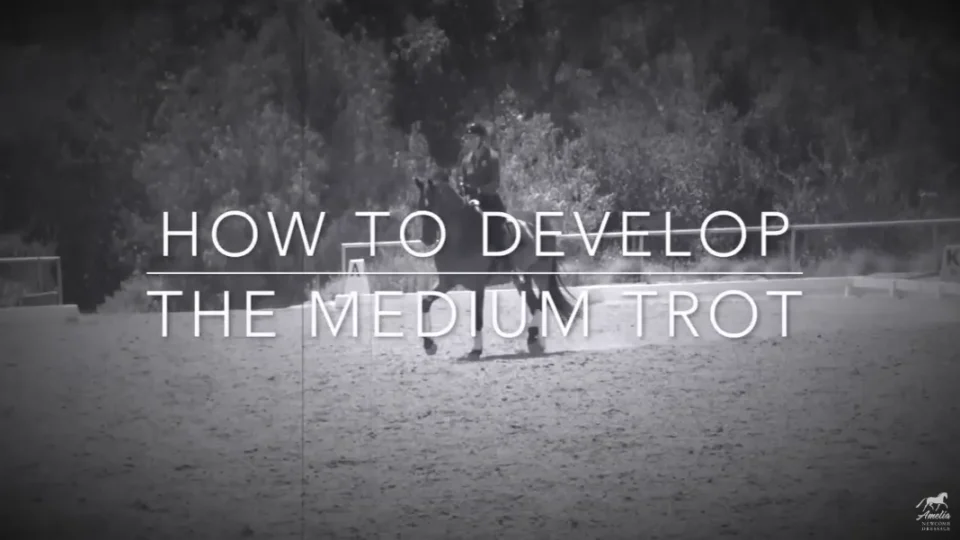How to Develop the Medium Trot