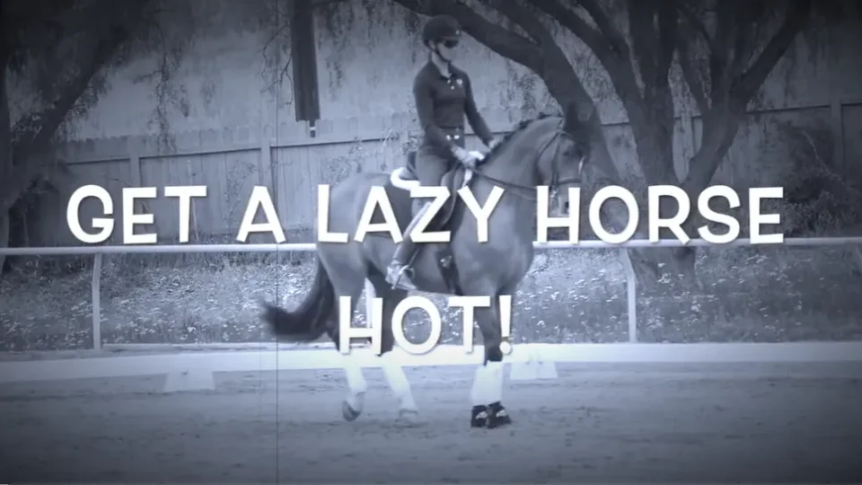 How to Get a Lazy Horse Hot