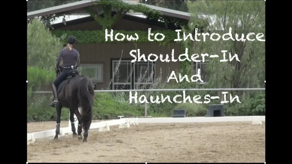 How to Introduce Shoulder-In and Haunches-in