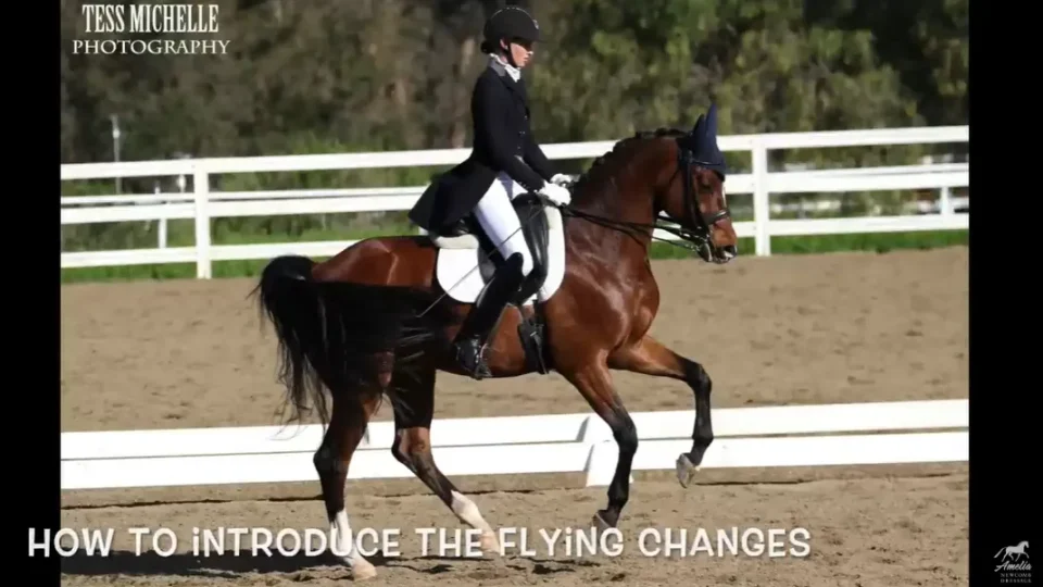 How to Introduce the Flying Changes