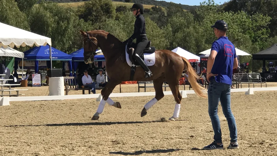 How to be a Good Student of Dressage