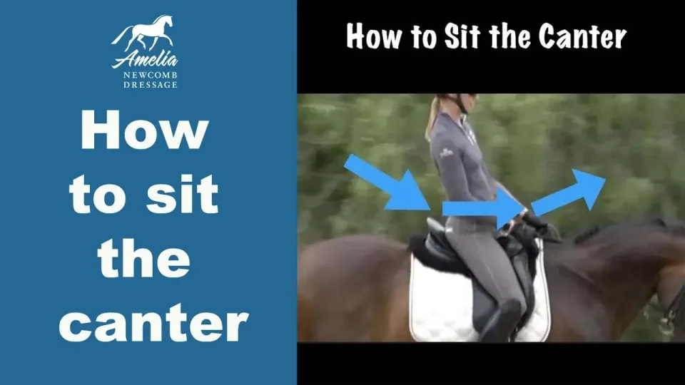 How to sit the canter