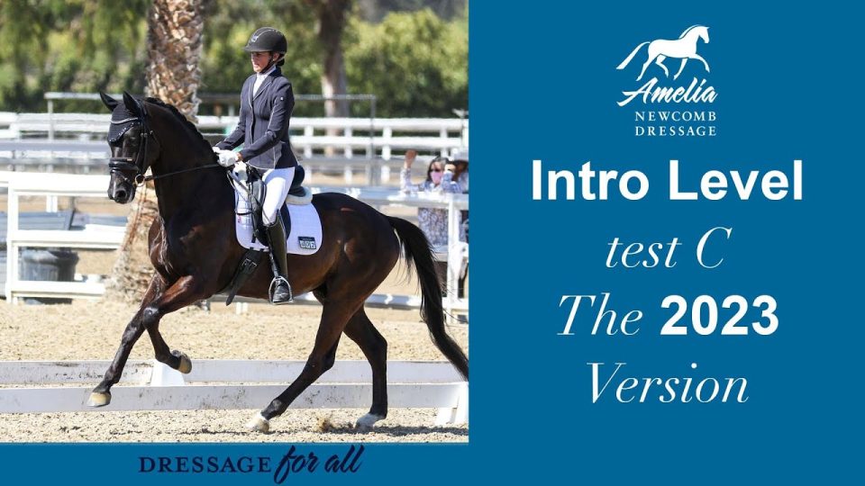 Intro Level test