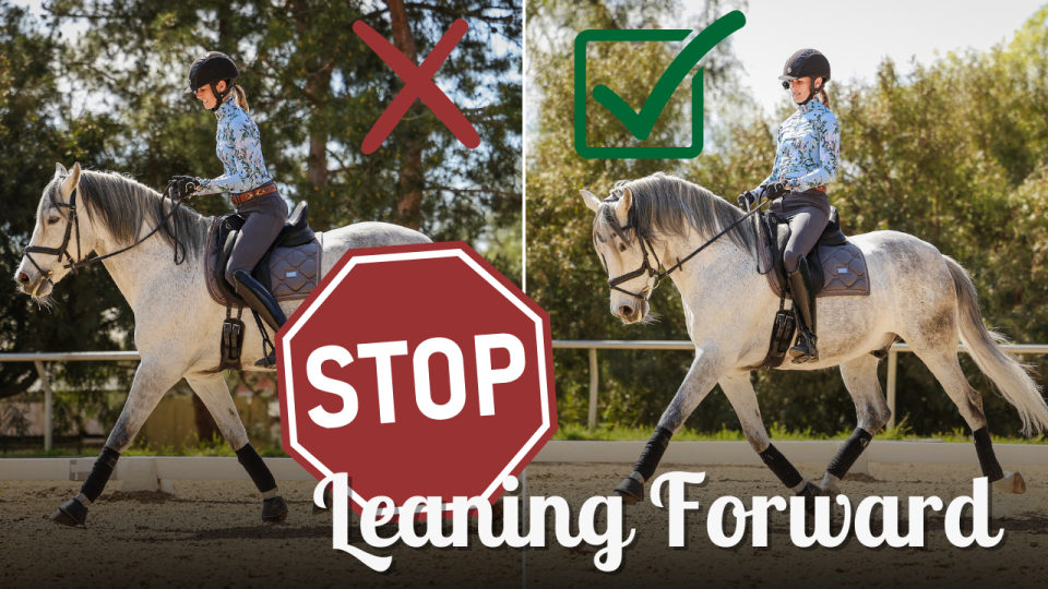 Leaning Forward A