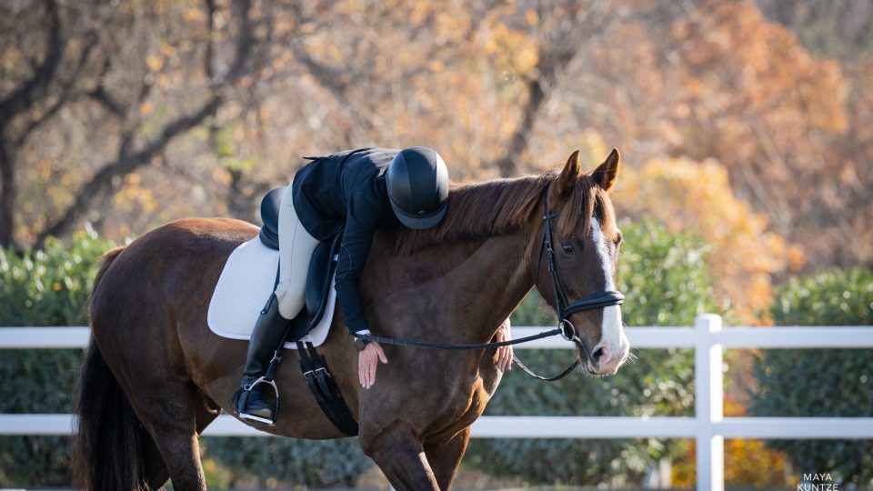 MDHT6110324_gilmoreD_mk-0814