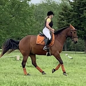 A rider wearing a helmet and vest is riding a brown horse with matching orange saddle pad and leg wraps on a grassy field, with trees in the background.