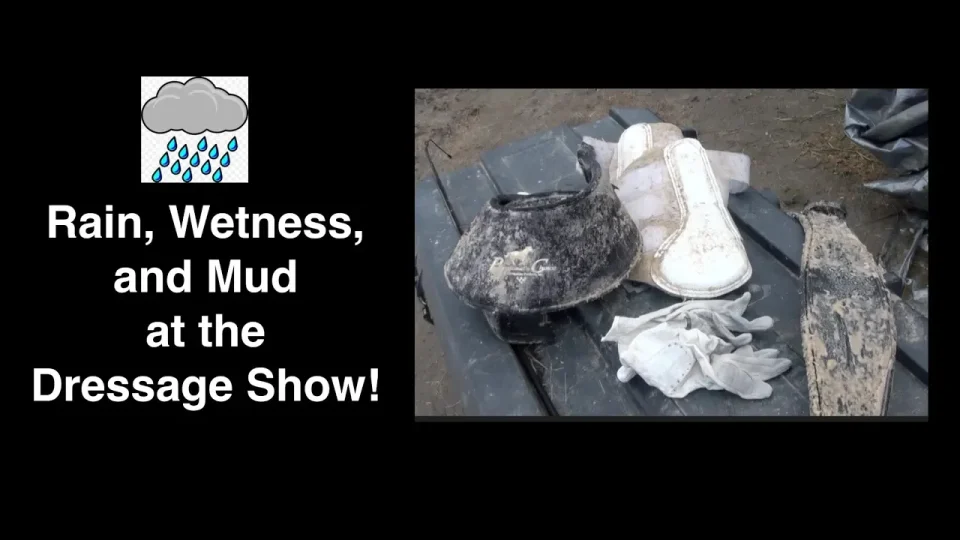 Rain, Wetness, and Mud at the Horseshow