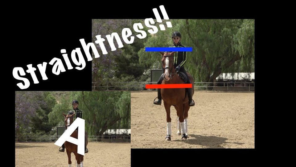 Rider Symmetry