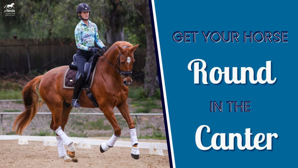 Round in canter A
