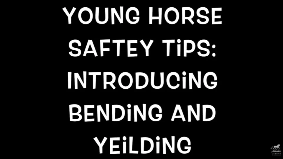 Safety Tips for a Young Horse: Bending and Yielding
