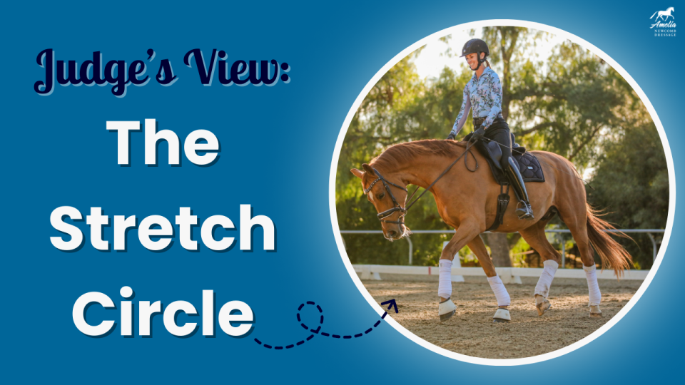 Stretch Circle A