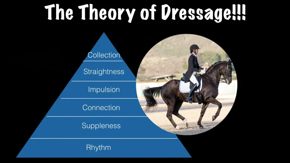 The Theory of Dressage