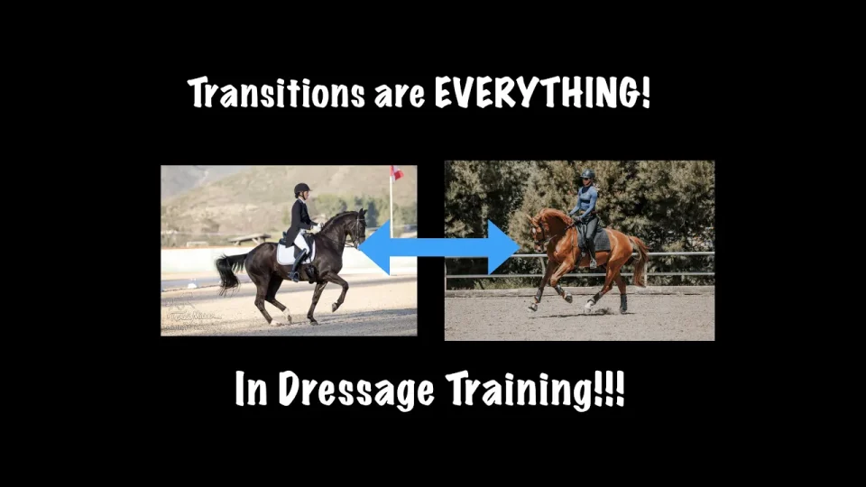 Transitions are everything in dressage