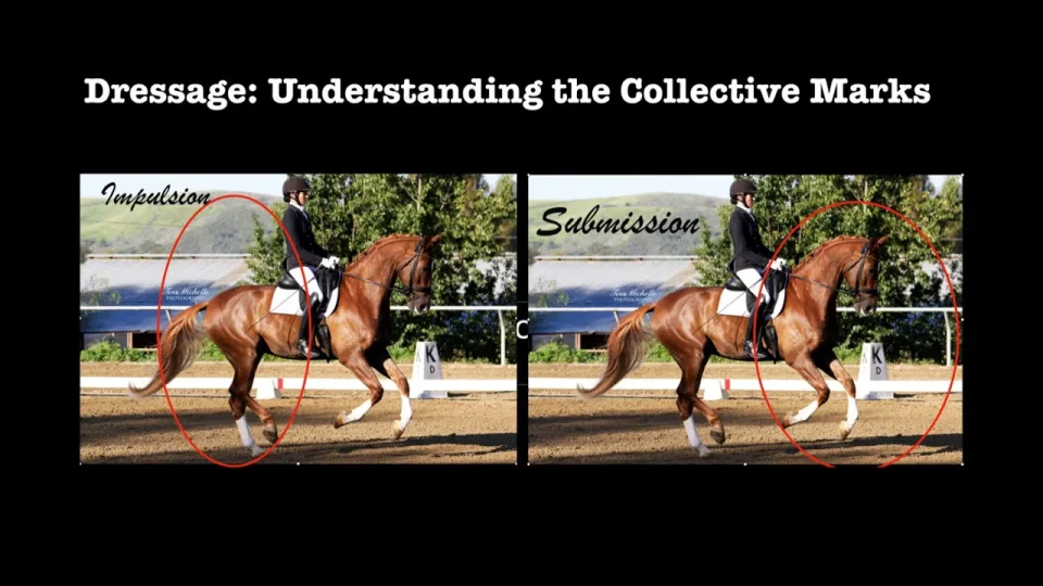 Understanding the Collective Marks