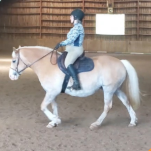 A person wearing a helmet, patterned shirt, and riding boots is riding a light tan horse with a white mane and tail inside an indoor riding arena with wooden walls.