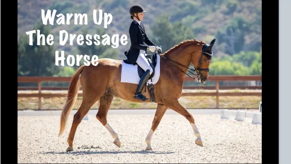 Warm up the dressage horse
