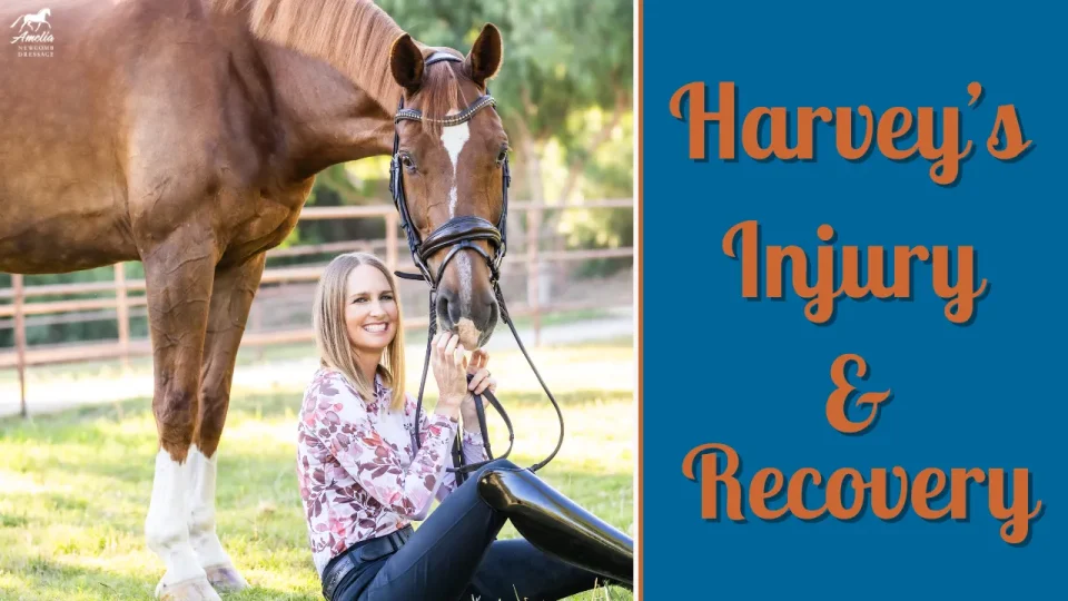 What happened to harvey A