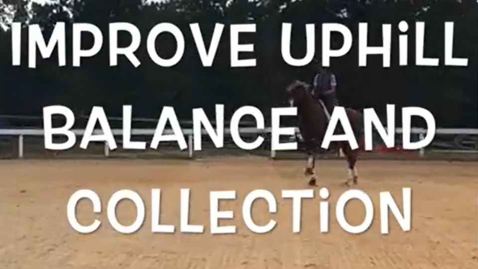 balance & collection