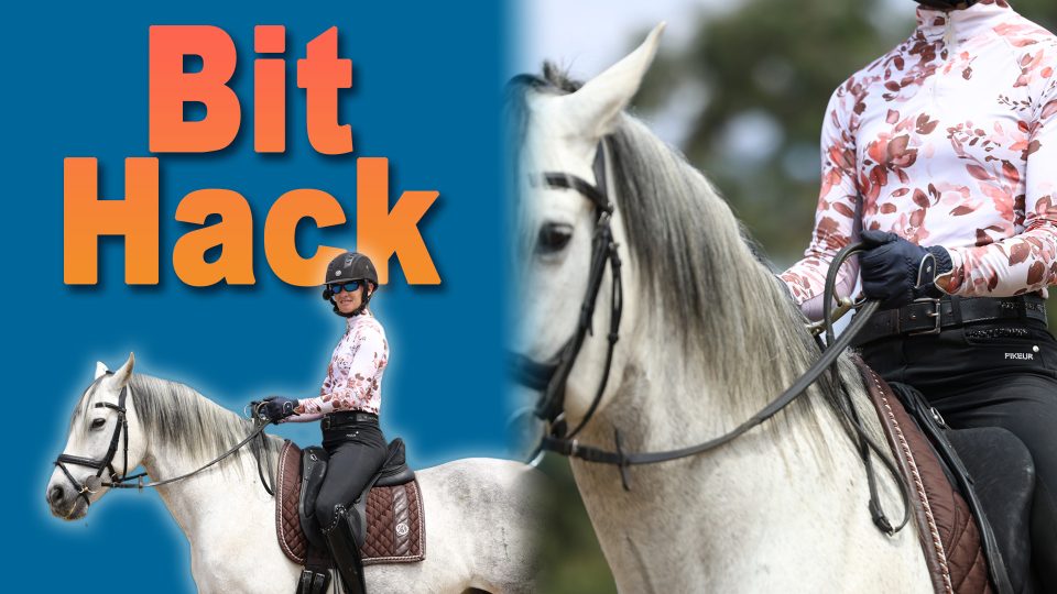 bitHack
