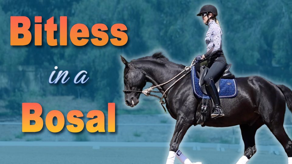 bitlessBosal