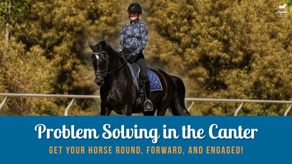 canter problem solving A