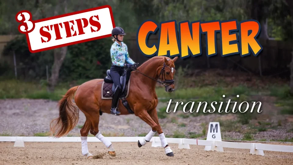 canter trans