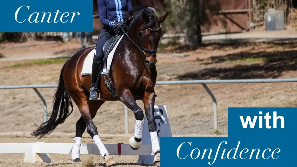 canter with confidence