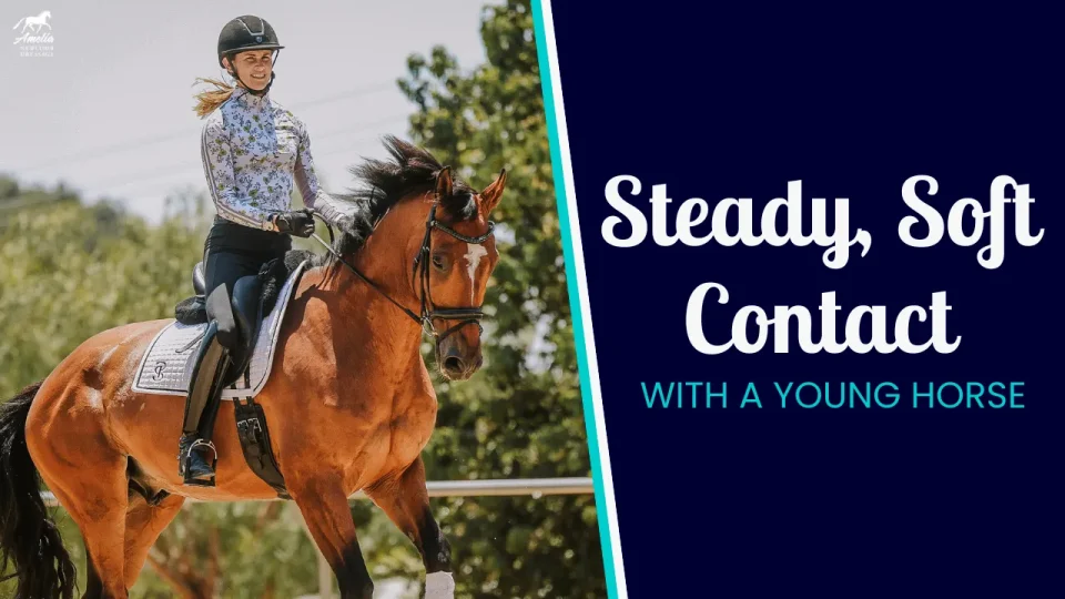 contact with young horse A (1)