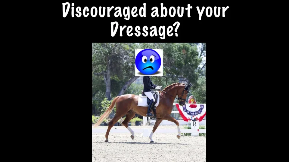 discouraged about your dressage