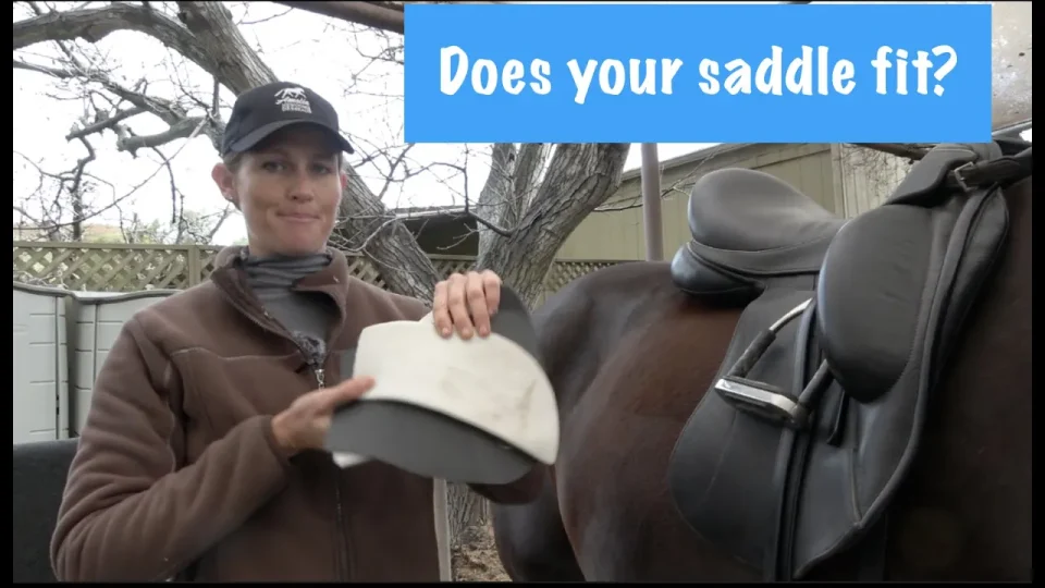 does your saddle fit
